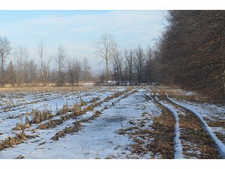 Property photo 52 - FARMLAND AUCTION, 60+/- Acres in 6 Tracts ranging from 4 to 20 acres & in combinations!